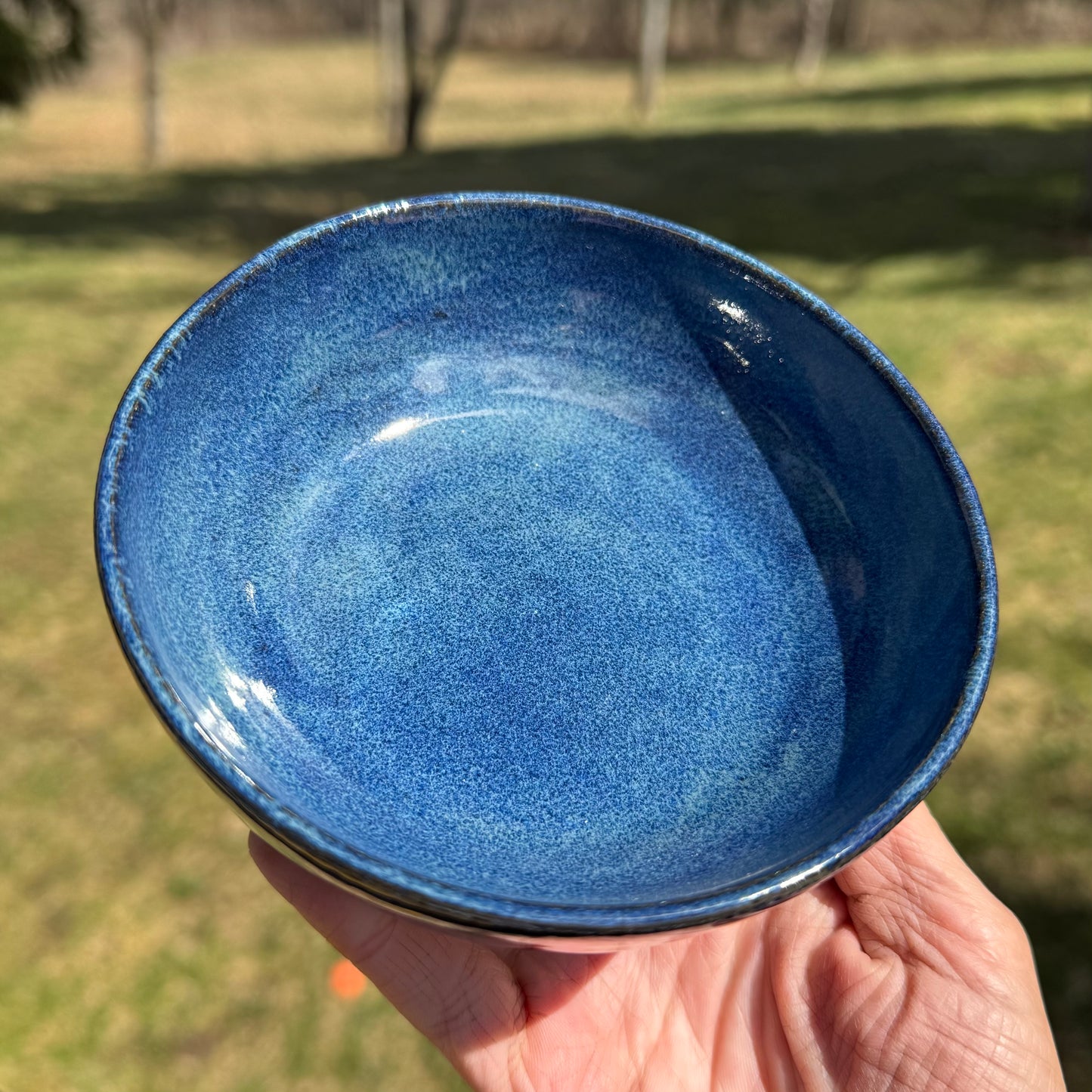 Rich Blue Bowl